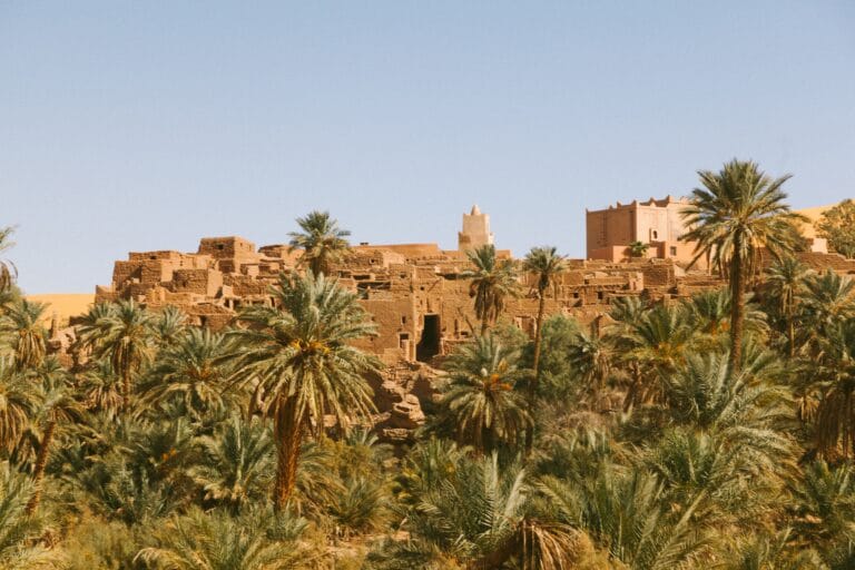 شبهات بخصوص الطب النبوي تحتاج إلى تحقيق - هل كل كلام النبي وحي؟ هل يمكن أن يخطئ النبي صلى الله عليه وسلم في أمور الدنيا؟